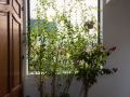 hover-house