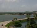 flores-de-peten