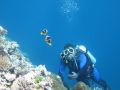 mai-dive-astrolabe-reef-resort