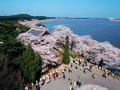 guesthouse-in-gangneung-myunggane