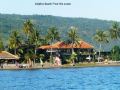 dolphin-beach-bali