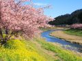 minshuku-urashima