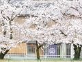 hostel-mitsuwaya-osaka