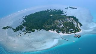 dos-palmas-island-resort-and-spa