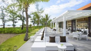 banyan-tree-lang-co