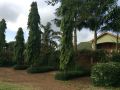korona-house