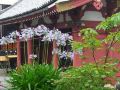 kaminarimon-ryokan