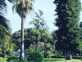120-rodionoff-palermo-bandb