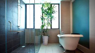 pinetree-hotel