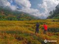 kowitfarmstay