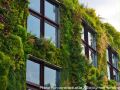 hotel-sofitel-los-angeles-at-beverly-hills