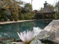ubud-inn-bali