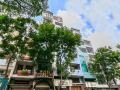 oyo-233-calmette-hotel