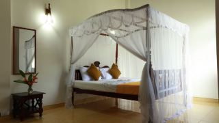flamingo-guesthouse
