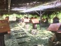 kelulut-lodge