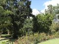 laughing-waters-guest-house