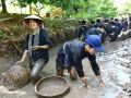 sinh-thai-an-binh