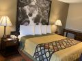 super-8-by-wyndham-seatac-airport