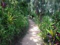 waitui-basecamp-hostel