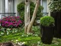 le-patio-bastille-former-best-western-le-patio-saint-antoine