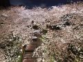 takanawa-hanakohro