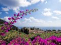 sina-flora-capri