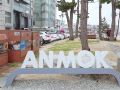 gangneung-guest-house-coffee-street