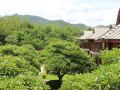 pai-vimaan-resort