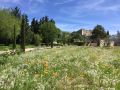 domaine-les-martins