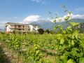 hotel-al-maso