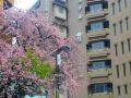 hotel-kan-ichi