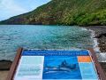 kealakekua-hale