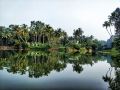 kuttickattil-gardens-home-stay