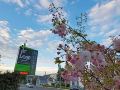 delago-motel-christchurch