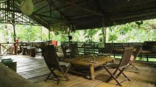 lupa-masa-jungle-camp