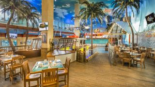 margaritaville-hollywood-beach-resort