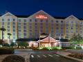 hilton-garden-inn-orlando-at-seaworld