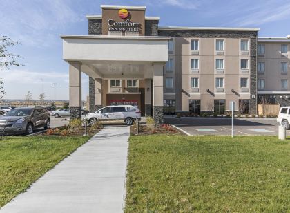 Comfort Inn & Suites Airport North
