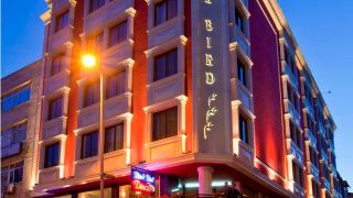 black-bird-hotel