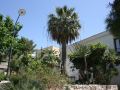hotel-il-cortile