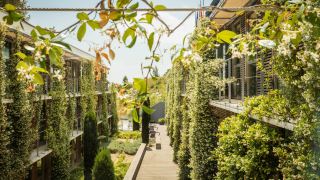 courtyard-montpellier