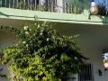 green-house-aparta-hotel