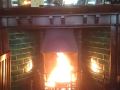 the-forester-ealing
