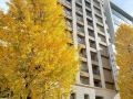 toyoko-inn-kumamoto-kotsu-center-mae