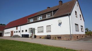 simple-property-in-active-cattle-farm