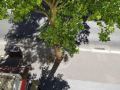 tingis-hotel