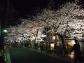 business-hotel-shusenkaku