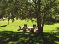 domaine-les-martins