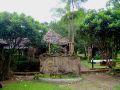 re-wild-house