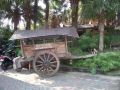de-clove-guest-house